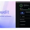 66audit